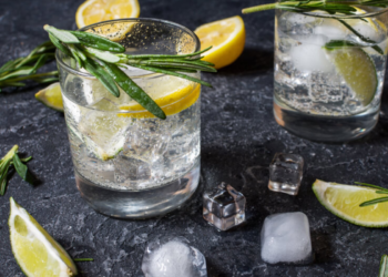 Vodka Tonic kokteilis